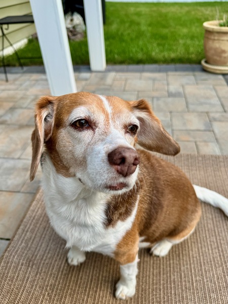 Entry image for April. Clicking this image will show a larger photo