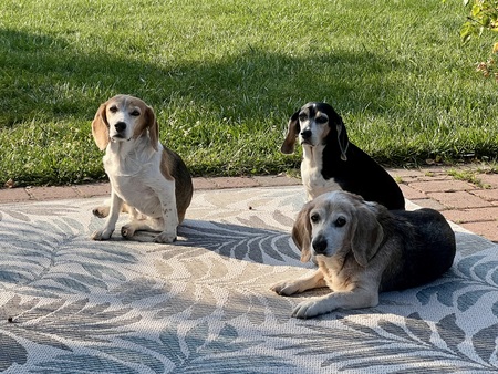 Entry image for Taye. Clicking this image will show a larger photo