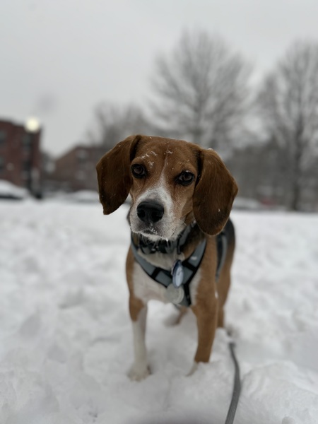 Entry image for Travis. Clicking this image will show a larger photo