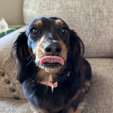 Entry image for Sophie