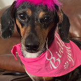 Entry image for Maggie