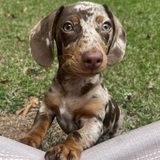 Entry image for Rome