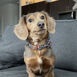 Entry image for August