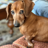 Entry image for Lucky