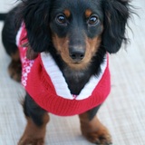 Entry image for Max Deering