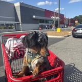 Entry image for Denver