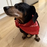 Entry image for Mini