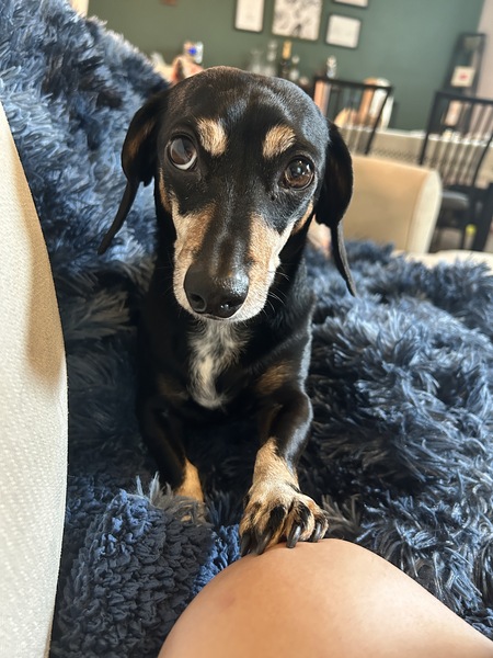 Oliver