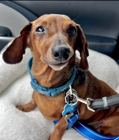 Ellie Mae