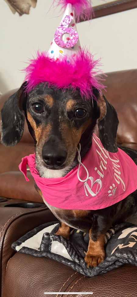 Entry image for Maggie. Clicking this image will show a larger photo