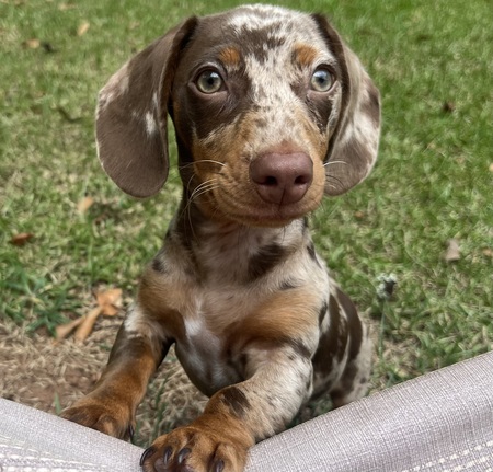 Entry image for Rome. Clicking this image will show a larger photo