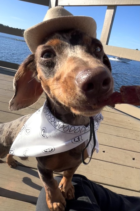 Entry image for Whiskey . Clicking this image will show a larger photo