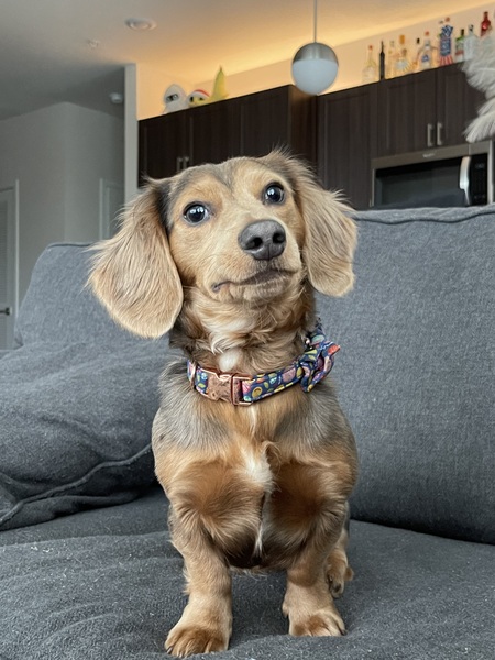 Entry image for August. Clicking this image will show a larger photo