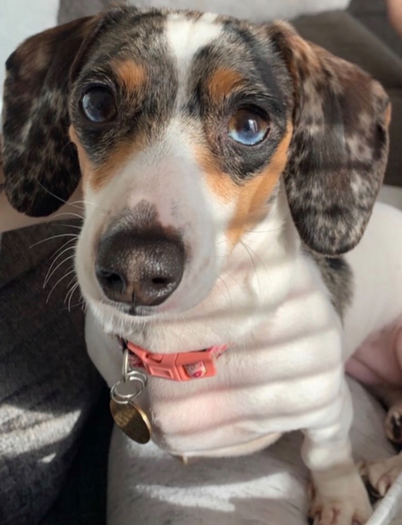 Entry image for Flora. Clicking this image will show a larger photo