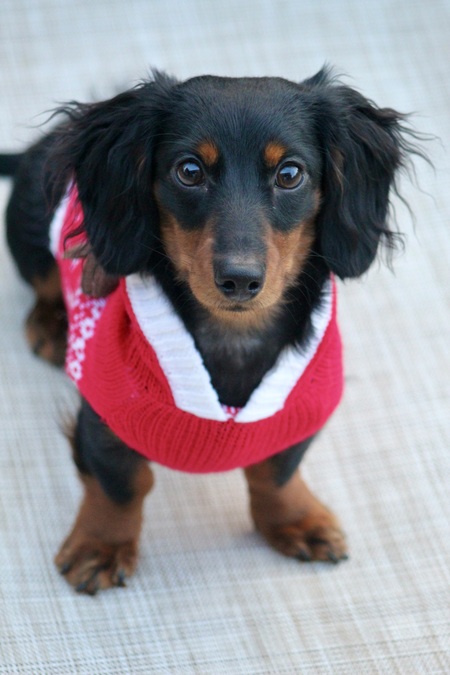 Entry image for Max Deering. Clicking this image will show a larger photo