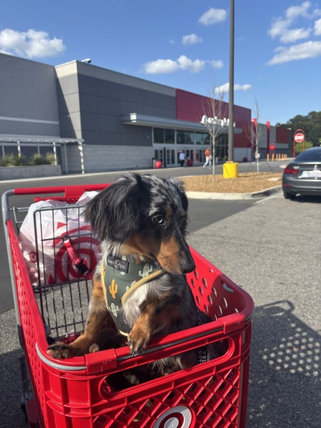 Entry image for Denver. Clicking this image will show a larger photo