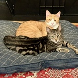 Entry image for Anfernee and Fredwynn