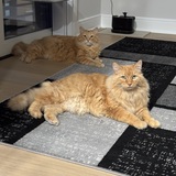 Entry image for Buddy and Glitch