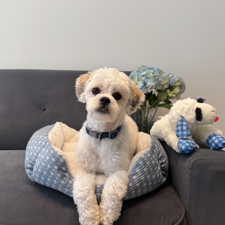 Benny