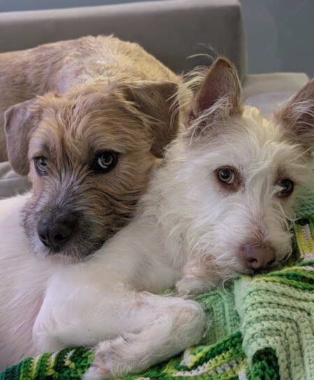 Elliott & Galileo