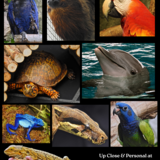 Entry image for Up Close & Personal at the Baltimore Aquarium by Greg Nickey