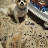 Entry image for Fiona 