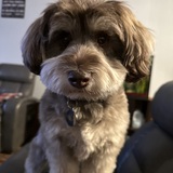 Entry image for Rexie