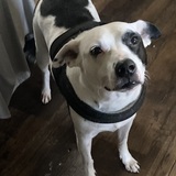 Entry image for Sport