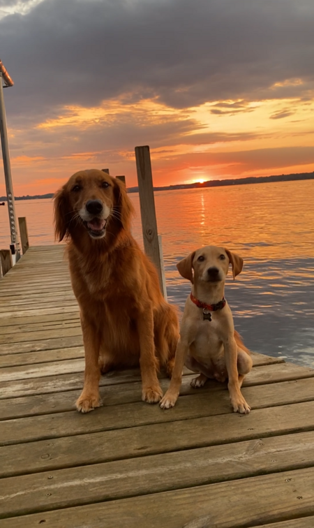 Megan & Jake