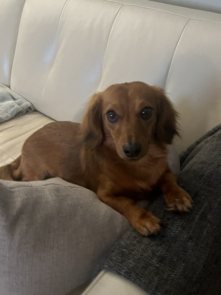 Tucker
