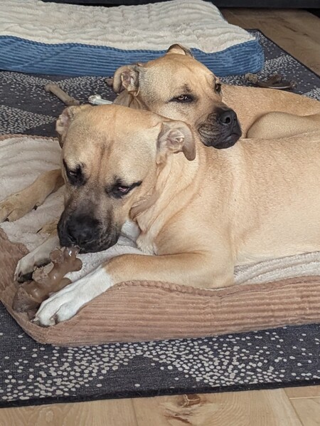 Maxwell and Lula May