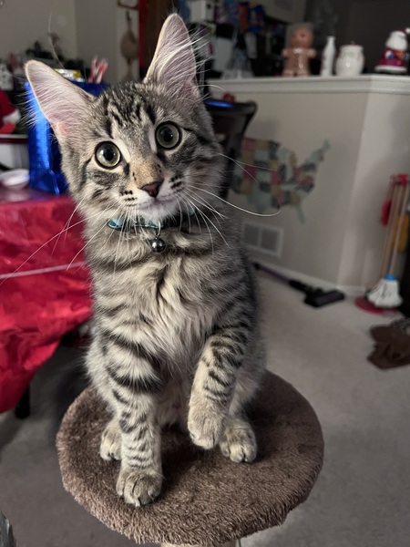 Nimbus