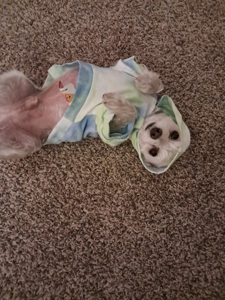 Entry image for Cuddles . Clicking this image will show a larger photo