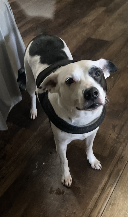 Entry image for Sport. Clicking this image will show a larger photo