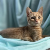 Entry image for Ruby June