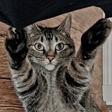 Entry image for Arthur