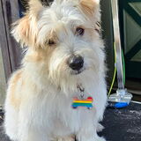 Entry image for Murphy
