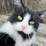 Entry image for KeeKee