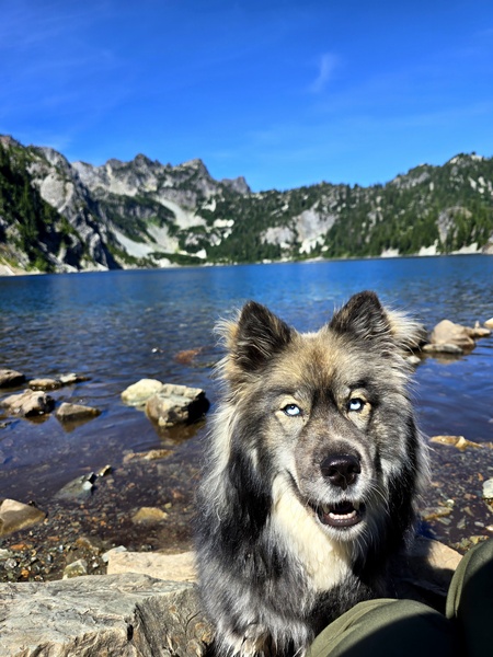 Entry image for Stormy. Clicking this image will show a larger photo