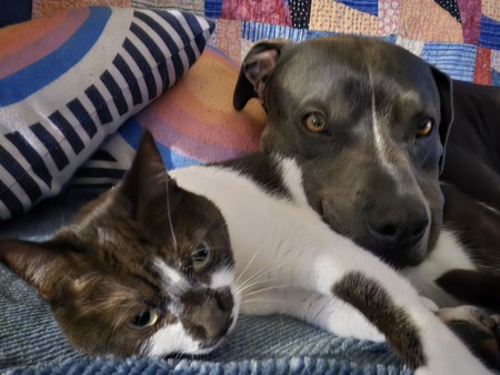 Entry image for Vinny and peppermint patty . Clicking this image will show a larger photo