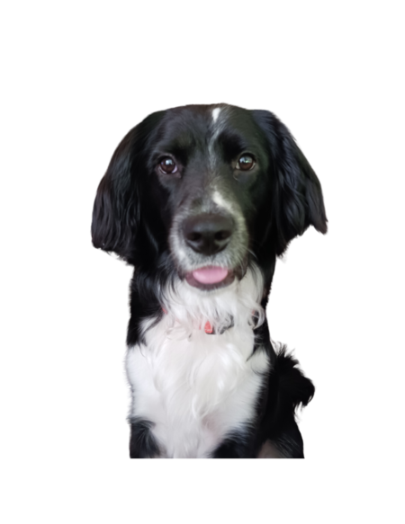 Entry image for Wally Wagner. Clicking this image will show a larger photo