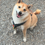 Entry image for Kai 