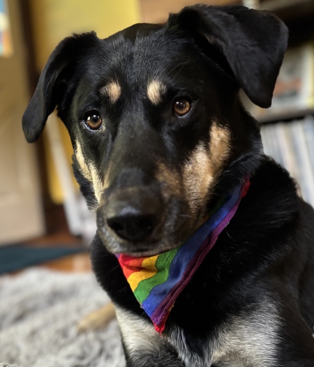 Entry image for Rupert. Clicking this image will show a larger photo