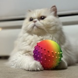 Entry image for Gizmo