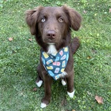 Entry image for Maggie 