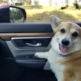 Entry image for Maisy 