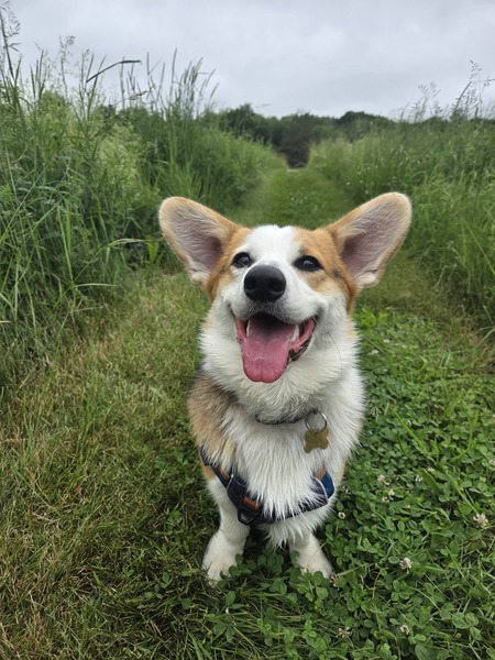 Gimli