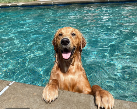 Tucker