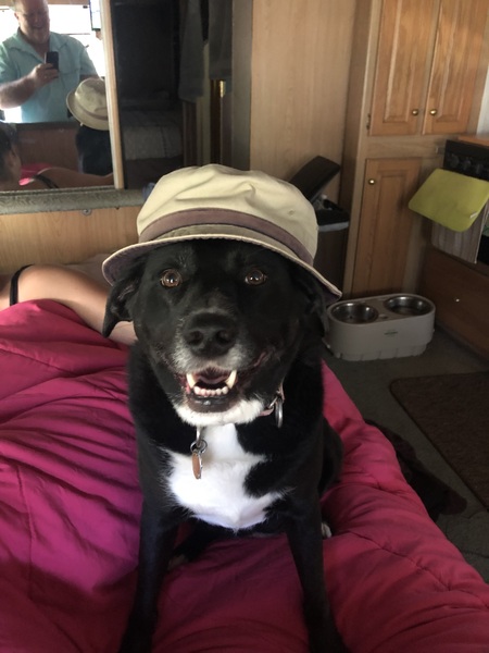 Sadie