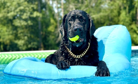 Maverick